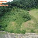 충청북도 보은군 보은읍 보은로 147 이미지