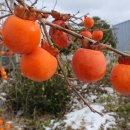 다움공인중개사사무소 이미지