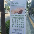 숲CALP