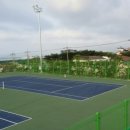 서귀포테니스장 테니스장 이미지