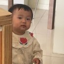 유어라이크헤어