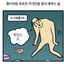 막불감동 이미지