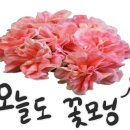 사회적협동조합 케어팜더욱 이미지