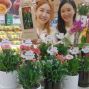 롯데마트 첨단점 이미지