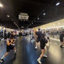 라이언복싱gym 이미지