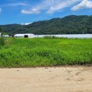 지방도913호 이미지