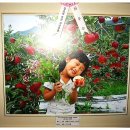 박금숙농장 이미지