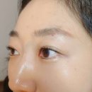 네일더누브