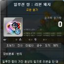 [메이플스토리] 일루전 링 구매 후기 / 흰색토끼 리본분홍색토끼 리본돼지 검은색고양이
