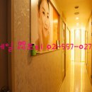 강남제일공인중개사사무소 Daum카페
