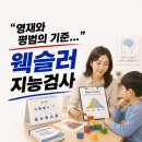 영재밧데리 | "이 점수 넘으면 영재...?" 웩슬러 지능검사 비용 및 영재와 평범 기준