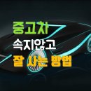 신화모터스 이미지