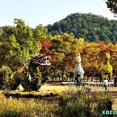 대구수목원 이미지