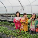 신백초등학교 이미지