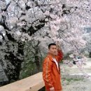 덕치초등학교 이미지