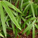 우면산3-23 이미지