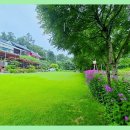 더플라워펜션