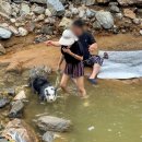더계곡 | 충남 천안 계곡 물놀이 광덕산 계곡 주차 후기