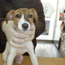 한신대길 이미지