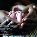 행정사 하문희사무소 이미지