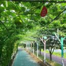 강변로(남천) 이미지