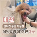 대천사랑펜션 | 대천 반려견 여행 1박 2일｜반려견 동반 가능한 맛집·카페·숙소까지 추천 코스