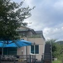 호미인문경 이미지