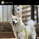 봉주르봉 이미지