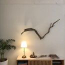 카페마이(CAFE MY.) 이미지