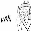 봄블리 이미지
