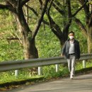 김영철농장 이미지