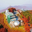 토성관광주