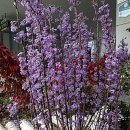 고향산천슈퍼 이미지