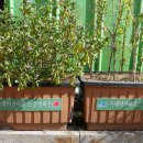 덕계12통마을회관 이미지