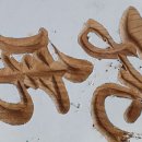 운도유지 이미지