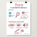 나 다 워 G Y M | [영어난독] 'IMSE 오튼길링햄' 교구 활용 후기