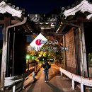 (합)태백산고속관광 | 나고야 여행 일정 추천 3박 4일 경비 후기