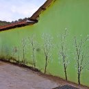 두량6리 이미지