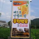 베드로 농장 이미지