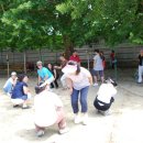 들꽃도서관 이미지