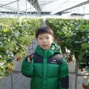 들꽃농장 이미지