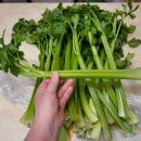 삼현농장 이미지