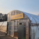 (주)맥스팜 이미지