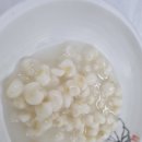 흥양송어횟집 이미지