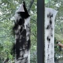 디오티미술관 이미지