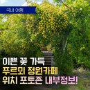 양산행복동물약국 | 양산 정원카페 끝판왕! 카페 푸르뫼 솔직후기 반려동물 동반 가능