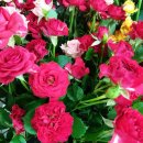 종암중앙어린이집 이미지