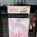 카페봄봄 혁신점 | [고양] 스타벅스 고양원당역점 / 주차, 좌석, 화장실