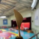 큰빛태권도 이미지