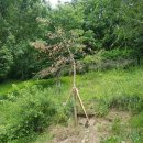 이레부동산중개사무소 이미지